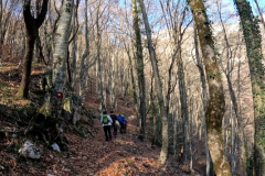 DJI_0353.00_01_17_24.Still010