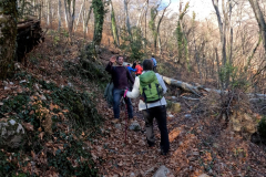 DJI_0353.00_01_31_21.Still011