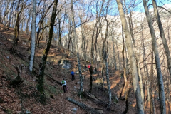 DJI_0353.00_02_20_13.Still014