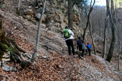 DJI_0353.00_02_29_03.Still016
