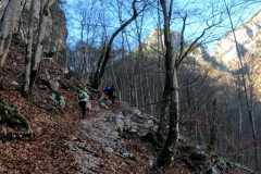 DJI_0353.00_02_38_26.Still017