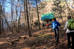 DJI_0353.00_03_35_28.Still022
