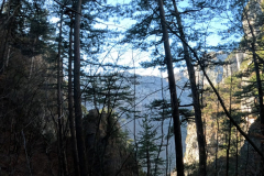 DJI_0353.00_04_25_24.Still027