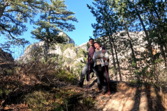 DJI_0353.00_04_43_09.Still028