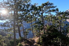 DJI_0353.00_05_22_28.Still029
