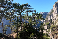 DJI_0353.00_05_33_24.Still030