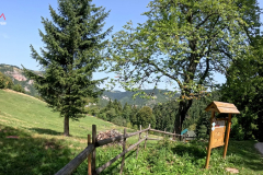pocetak-HD.00_11_05_09.Still039